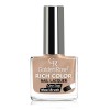 GOLDEN ROSE Rich Color Nail Lacquer 10.5ml - 25